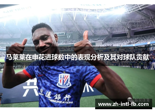 马莱莱在申花进球数中的表现分析及其对球队贡献