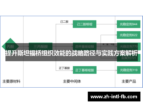 提升斯坦福桥组织效能的战略路径与实践方案解析