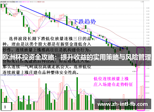 欧洲杯投资全攻略：提升收益的实用策略与风险管理