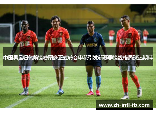 中国男足归化前锋费南多正式转会申花引发新赛季锋线格局球迷期待