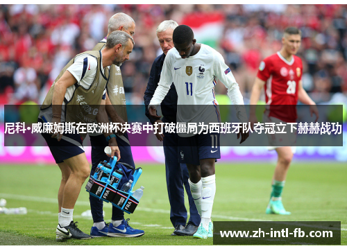 尼科·威廉姆斯在欧洲杯决赛中打破僵局为西班牙队夺冠立下赫赫战功